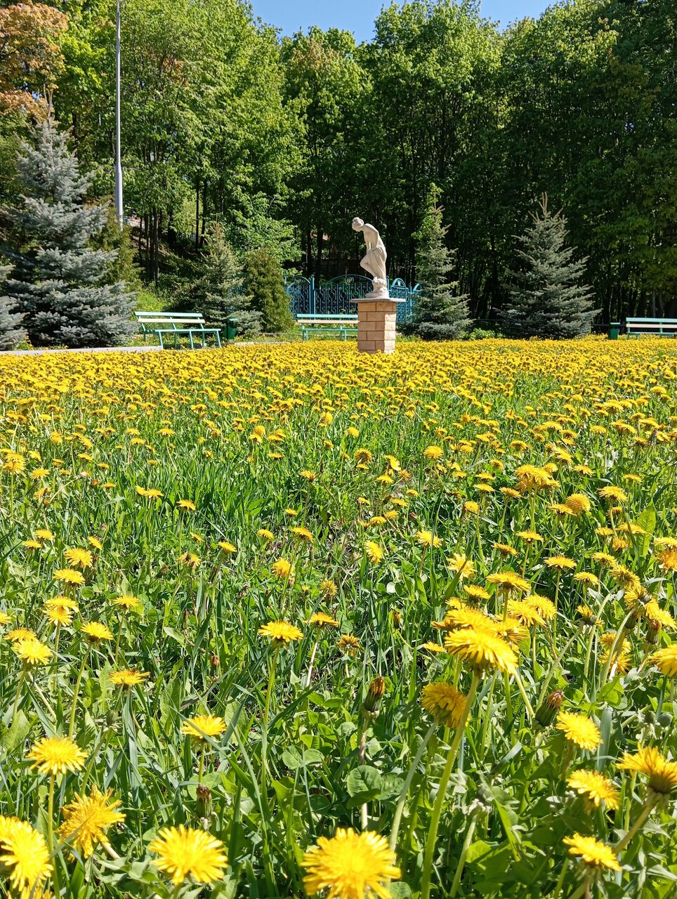 Гостевой дом Хвалынский Хвалынск-56