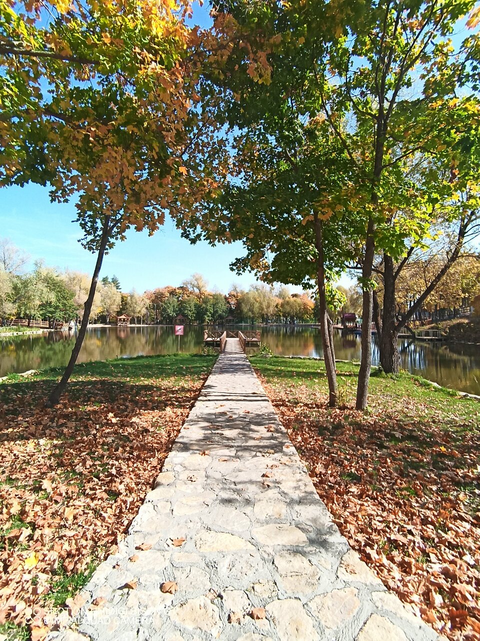 Гостевой дом Хвалынский Хвалынск-219