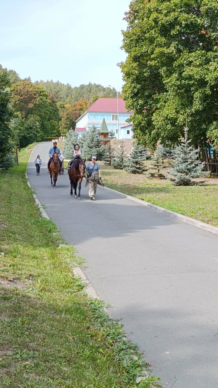 Гостевой дом Хвалынский Хвалынск-208