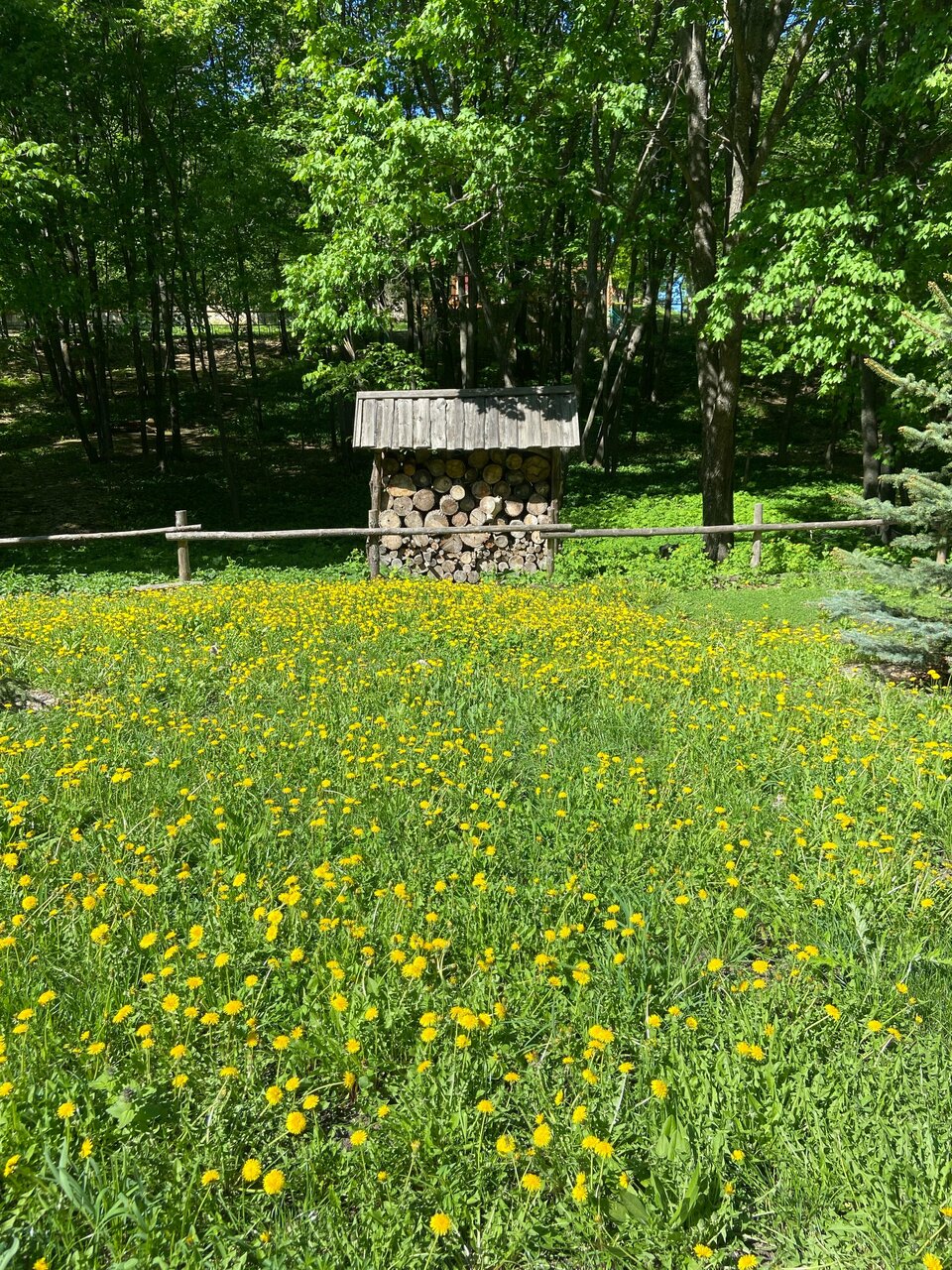 Гостевой дом Хвалынский Хвалынск-129
