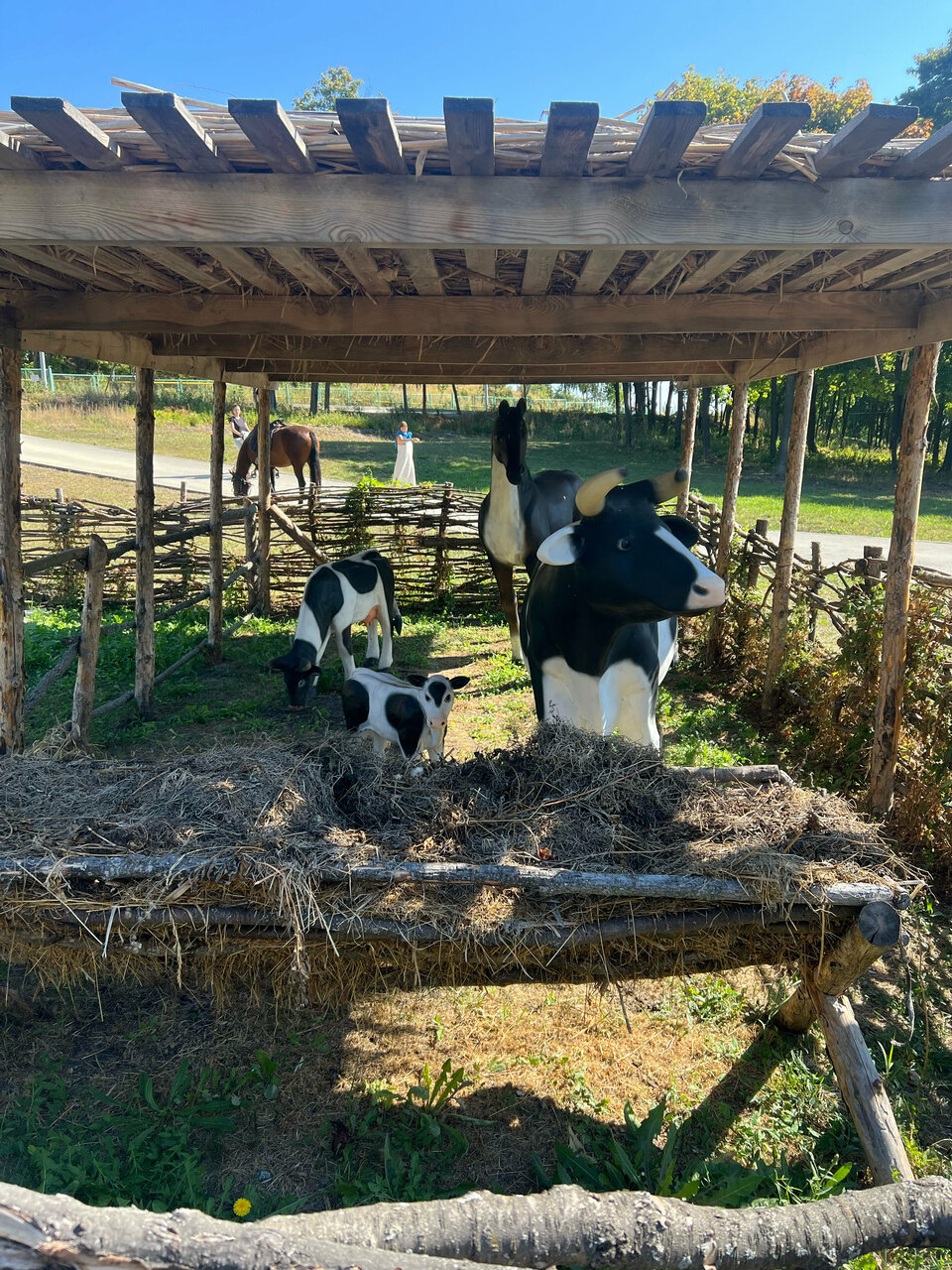 Гостевой дом Хвалынский Хвалынск-101