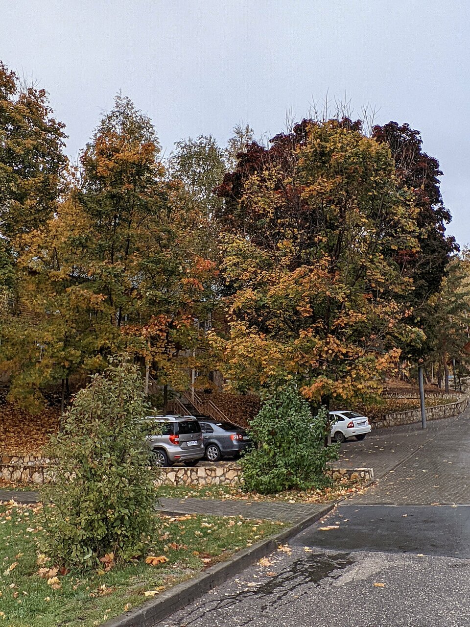 Гостевой дом Хвалынский Хвалынск-204