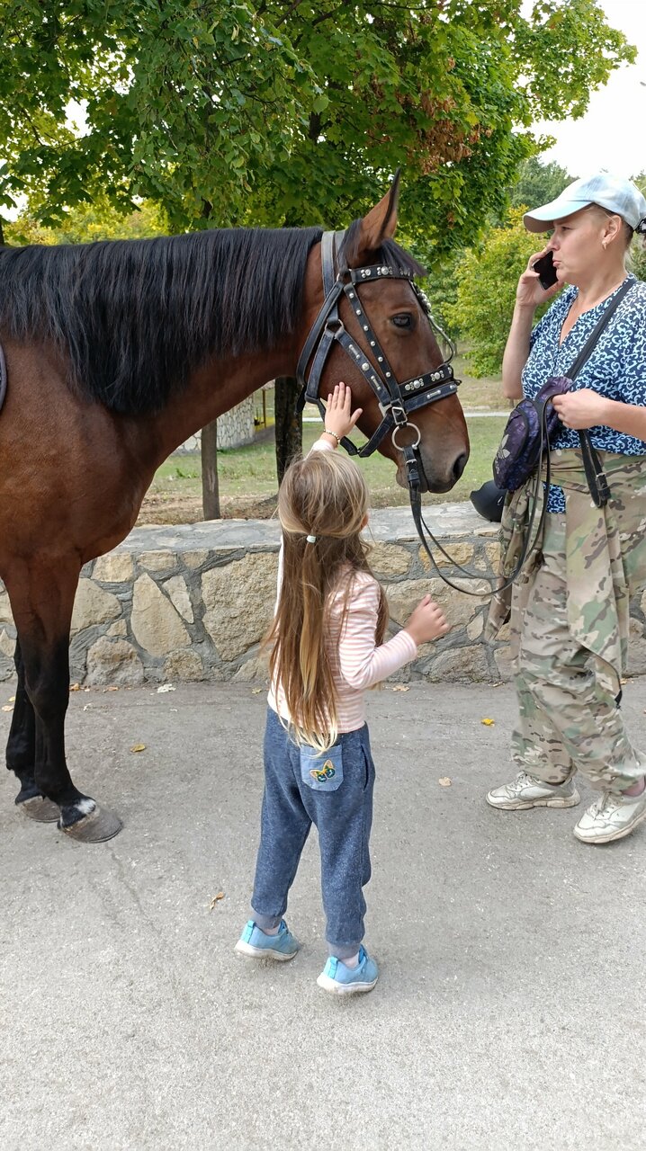 Гостевой дом Хвалынский Хвалынск-241