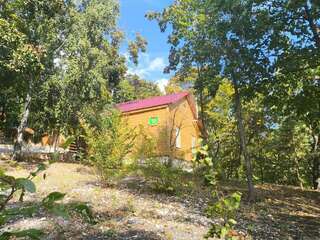 Гостевой дом Хвалынский Хвалынск ДОМ ДЕЛЮКС с лоджией-1