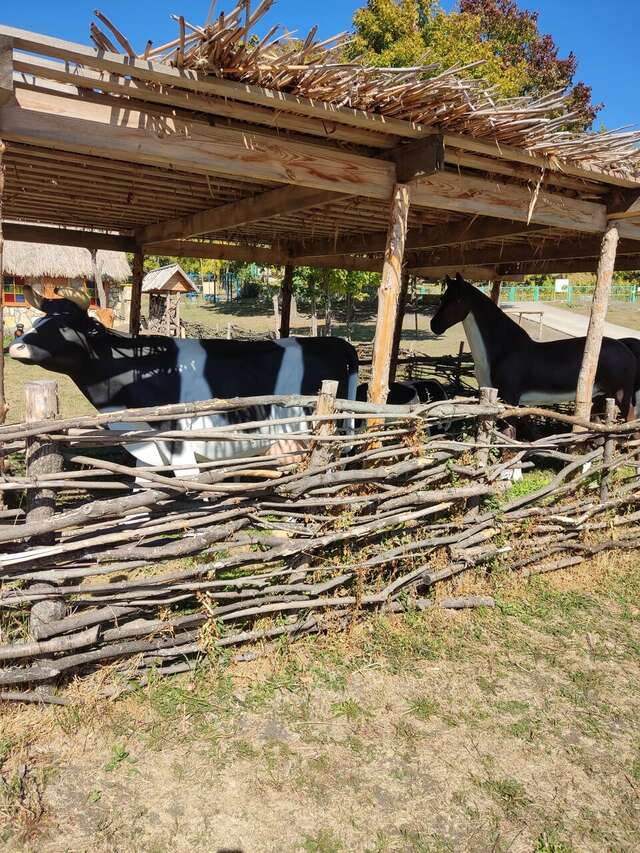 Гостевой дом Хвалынский Хвалынск-197