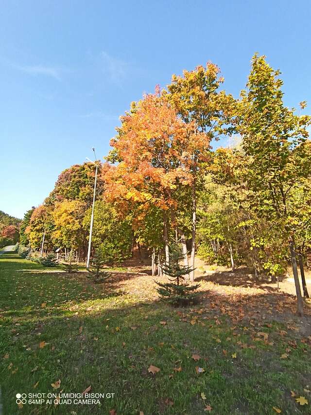 Гостевой дом Хвалынский Хвалынск-126