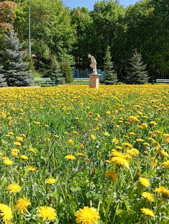 Гостевой дом Хвалынский Хвалынск-55