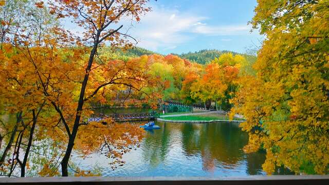 Гостевой дом Хвалынский Хвалынск-59