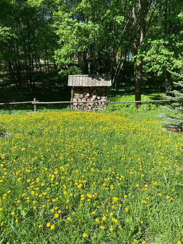 Гостевой дом Хвалынский Хвалынск-128
