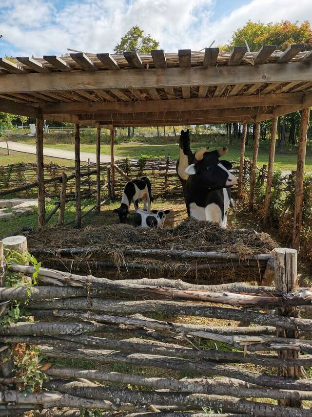 Гостевой дом Хвалынский Хвалынск-243