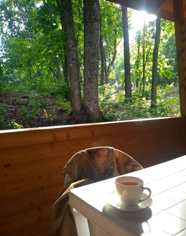 Гостевой дом Хвалынский Хвалынск-186