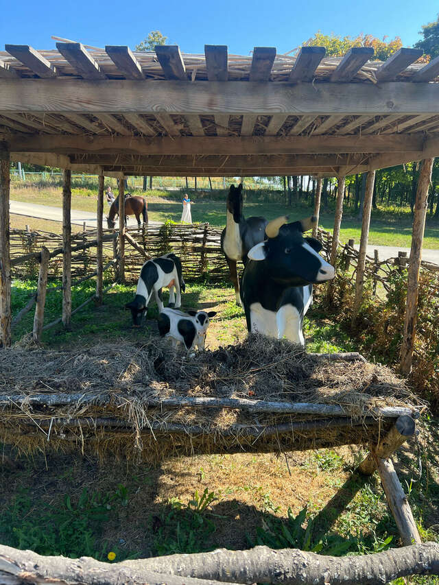 Гостевой дом Хвалынский Хвалынск-100