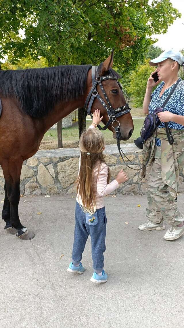 Гостевой дом Хвалынский Хвалынск-240